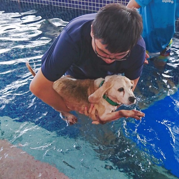 Taichung City Animal Shelter's Dogs Learn to Swim - Don't be afraid! Come and play~