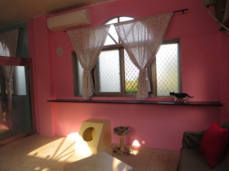 Our cat house is painted pink~ there is a warm feeling!